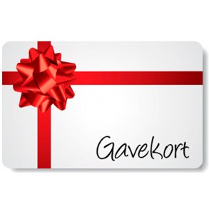 Gavekort til GunCity.